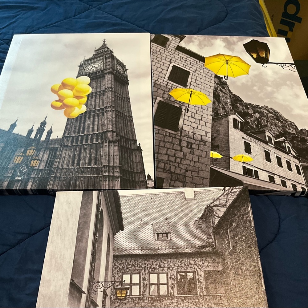 Three set canvas paintings